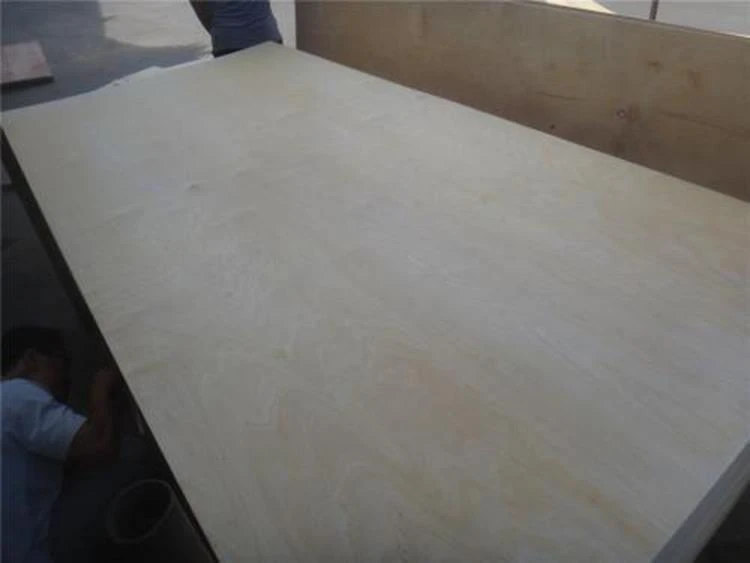 18mm Combi Poplar Birch Commercial Plywood7