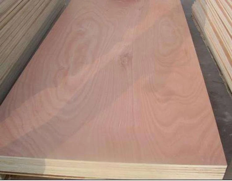 18mm Combi Poplar Birch Commercial Plywood5