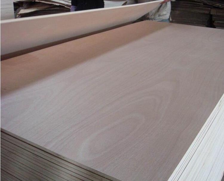 Pencil Cedar Melamine Glue Commercial Plywood2
