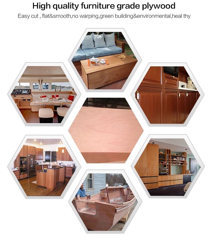 plywood application