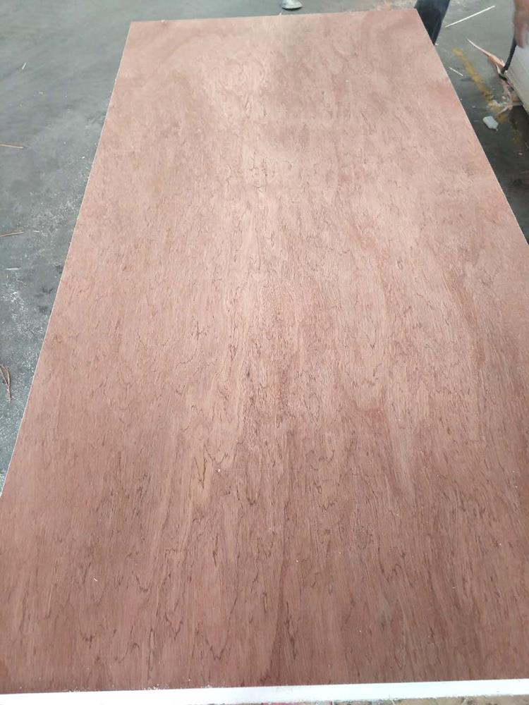 4mm Bintangor Face And Back Commercial Plywood (6)