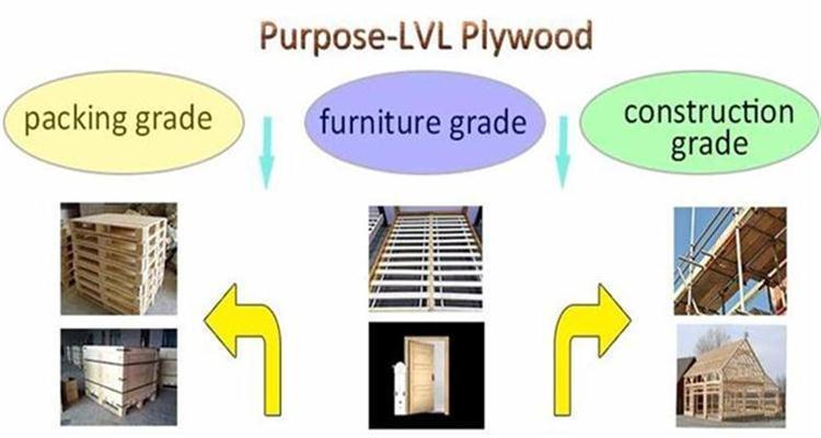 Poplar lvl Scaffold Plank For Packing  (6)