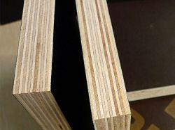 4x8 Fire Resistant Brown Film Faced Plywood 8 