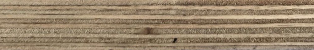 eucalyptus core film faced plywood