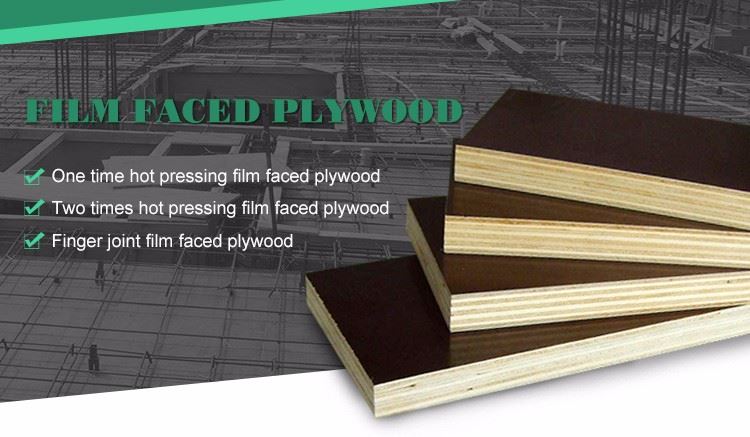 plywood (3)