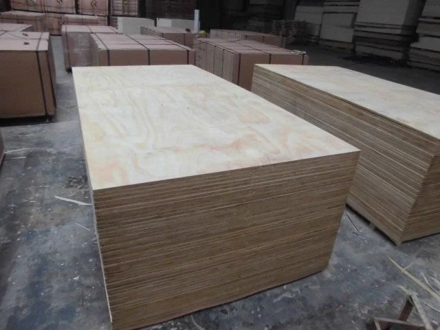 CD grade Full Radiate pine commercial plywood (1)