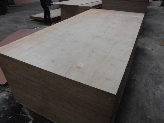 CD grade Full Radiate pine commercial plywood (3)