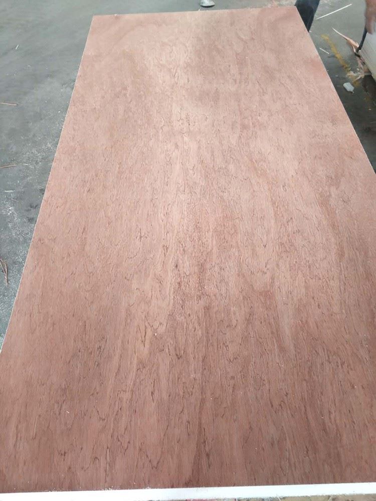 bingtangor plywood
