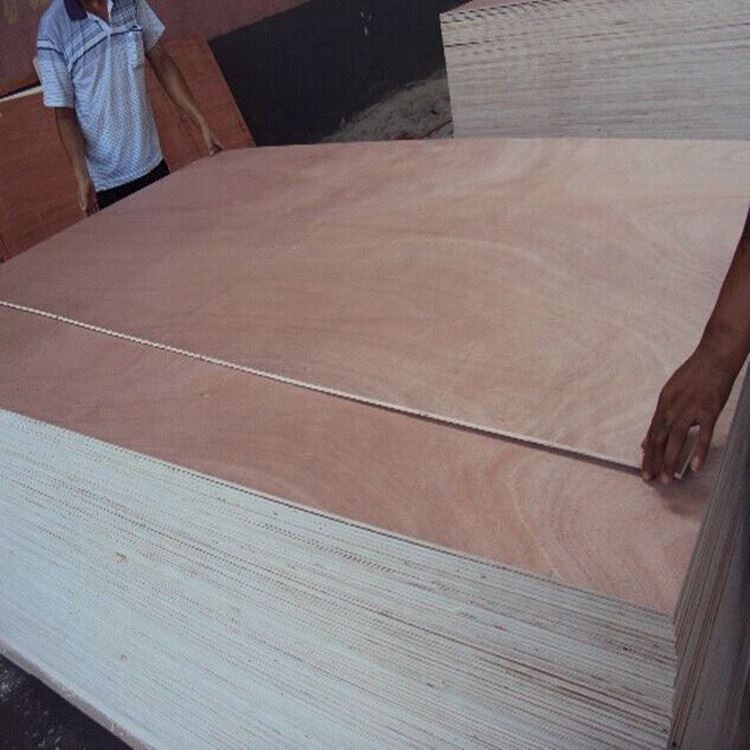 Bintangor Plywood (2)