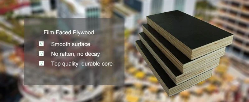 FLIM FACED  PLYWOO (2)