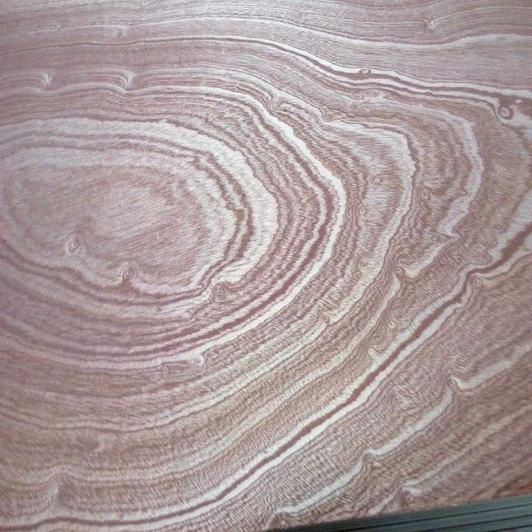 Sapele Plywood (2)