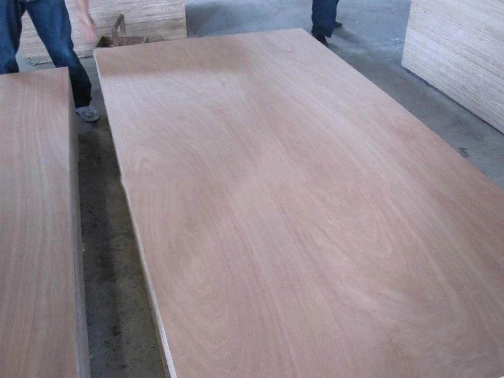 Sapele Plywood (4)