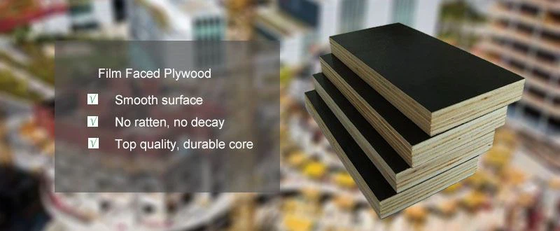 FLIM FACED  PLYWOO (2)