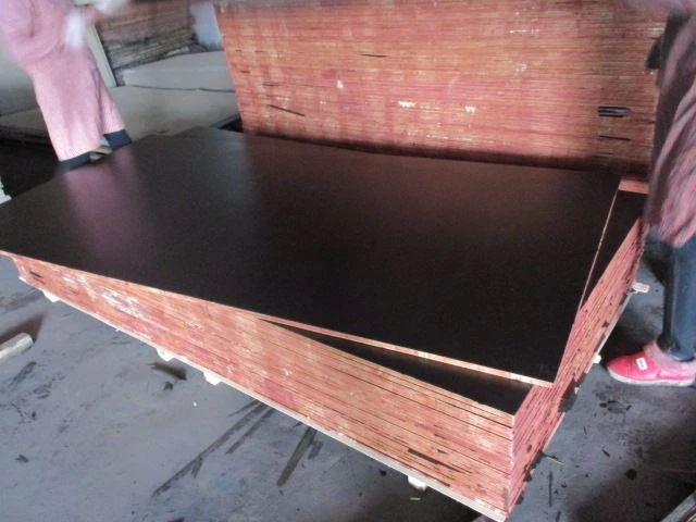 Black film faced plywood (11)
