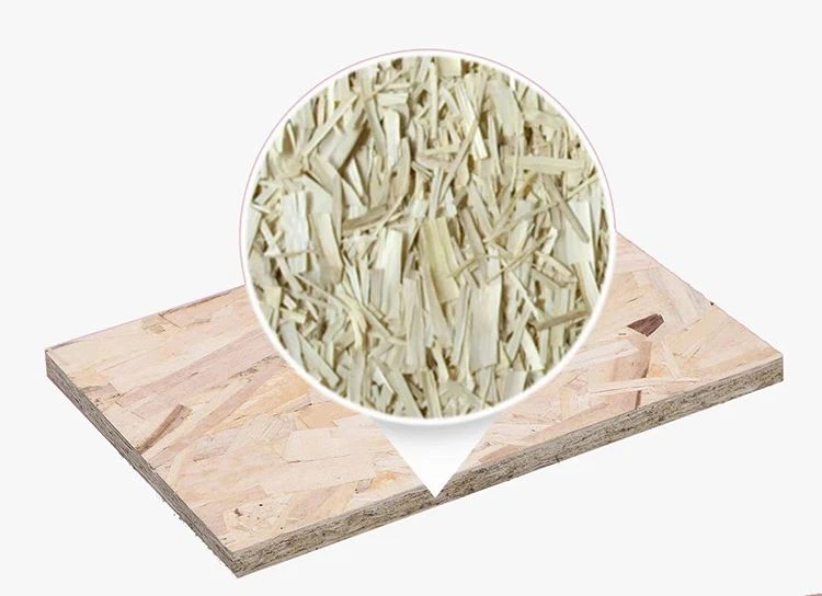 OSB (1)