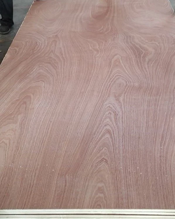 Sapele Plywood (2)
