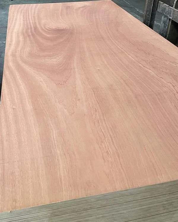 Sapele Plywood (3)