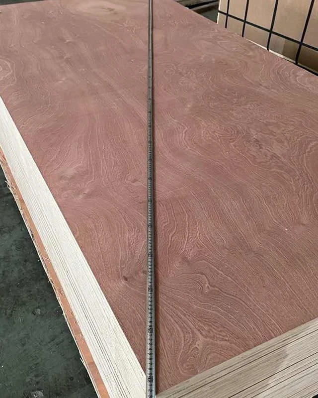 Sapele Plywood (4)