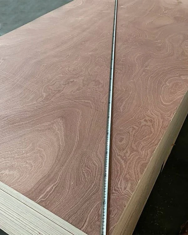 Sapele Plywood (1)