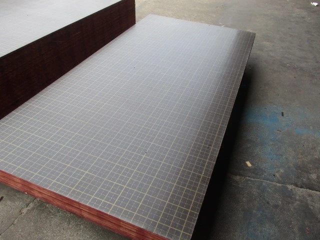 Logo Plywood 10