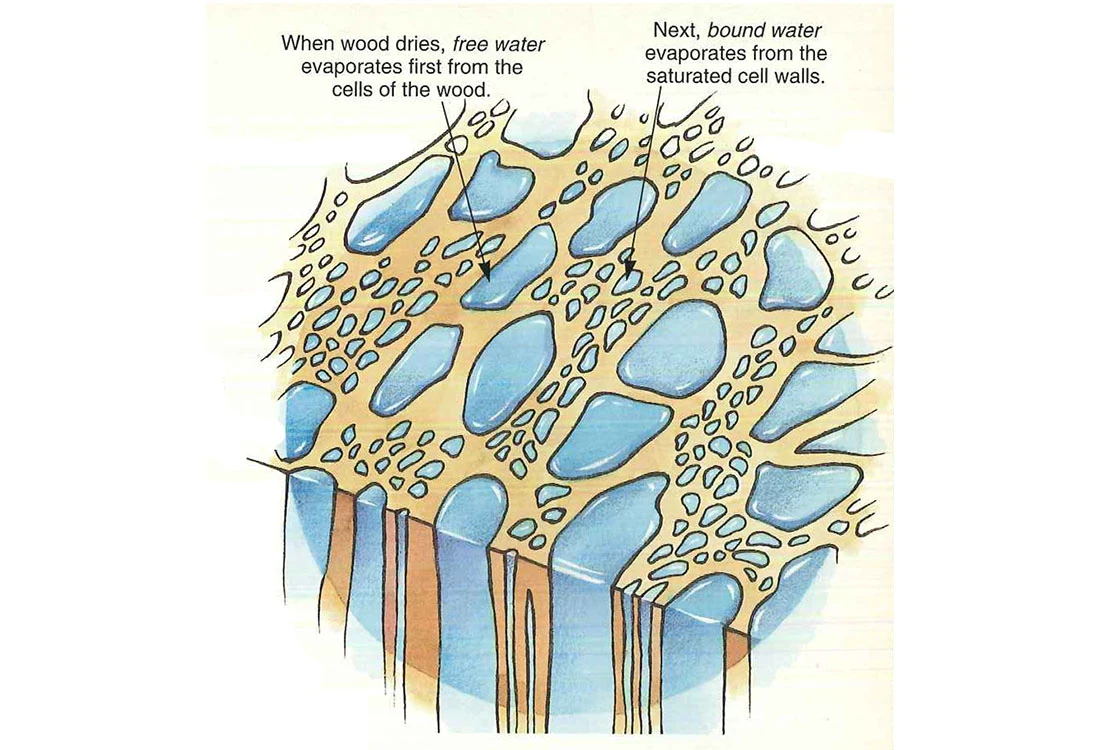 water in wood