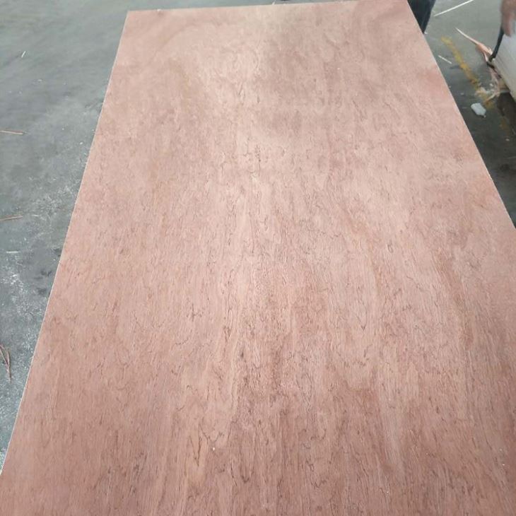4mm Bintangor Face And Back Commercial Plywood (6)