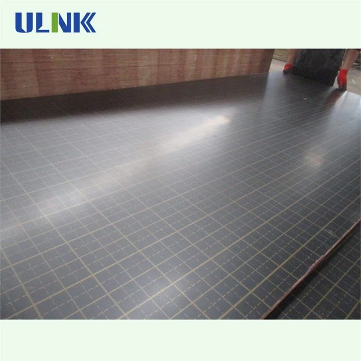 Jumbo Size Film Faced Plywood Panel