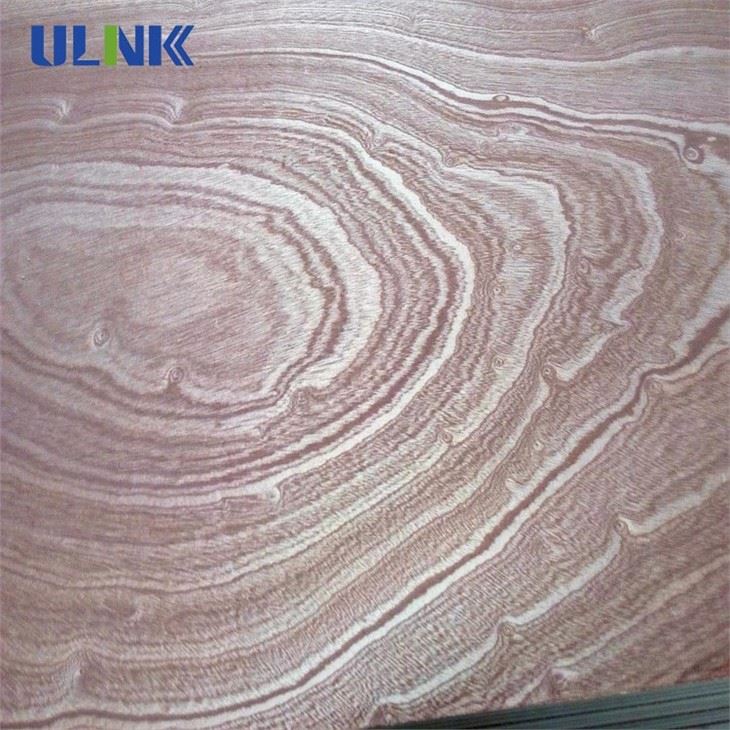 Low Price Sapele Commercial Plywood