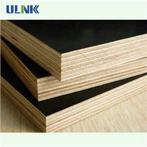 18mm Eucalyptus Film Faced Plywood With WBP Glue