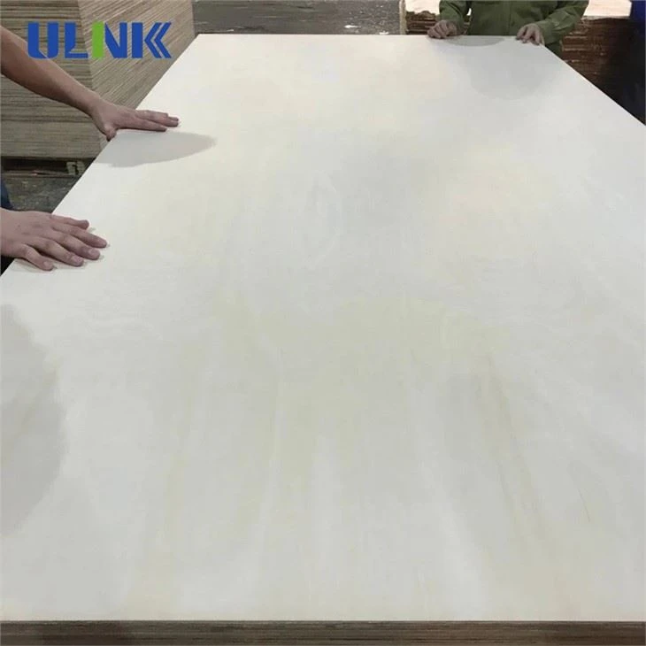 12 To 25mm 4X8 Bleached Full Poplar Plywood