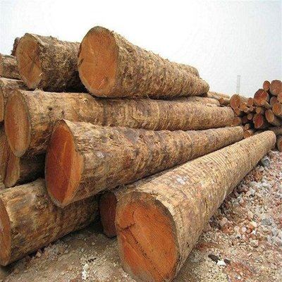 China Extends Hardwood Tariff Exemptions