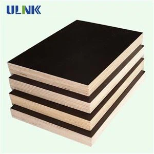 Eucalyptus Core Marine Plywood Film Faced