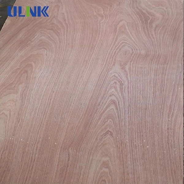 1220*2440mm 4'*8' Sapele Commercial Plywood