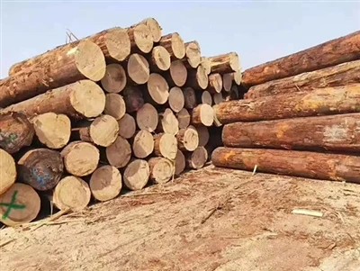 How Is Wood Building Material?