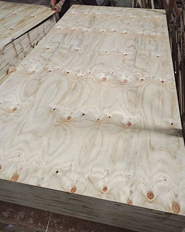 Sheathing  plywood (6)