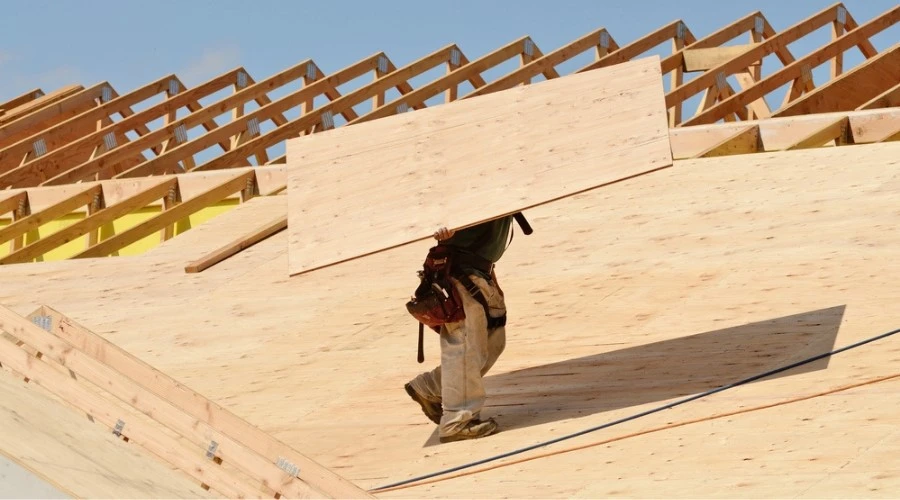 roof plywoodjpeg