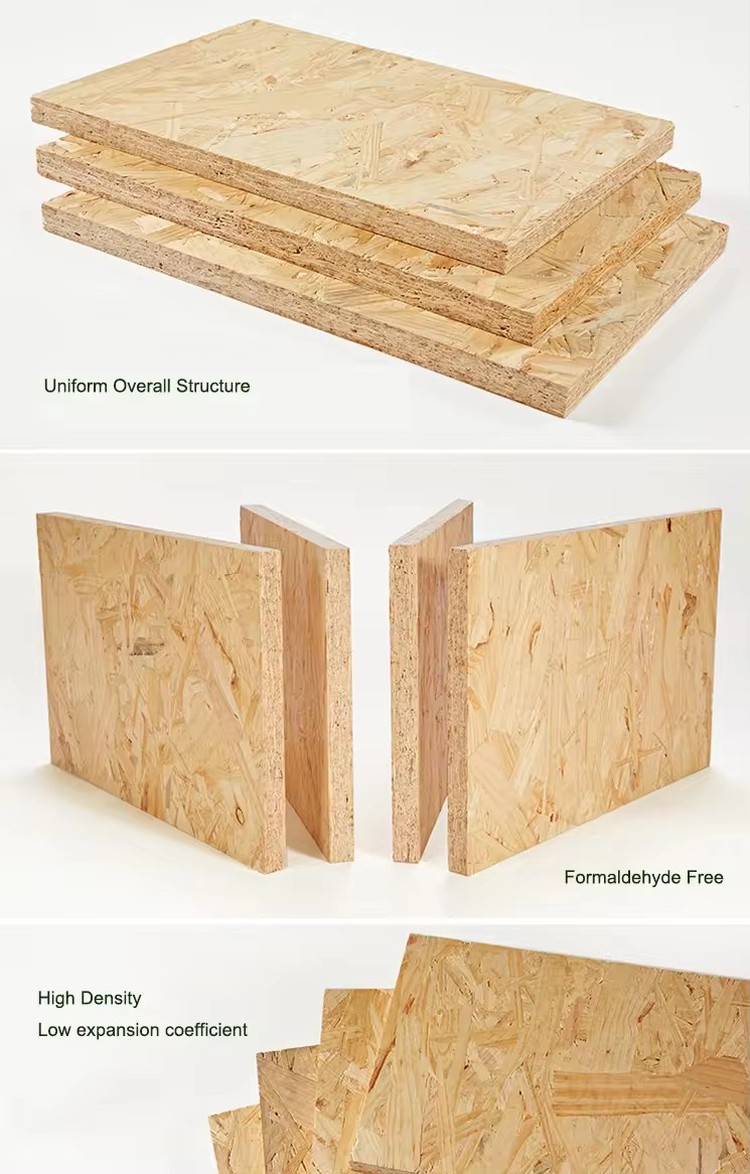 OSB 1 OSB 1