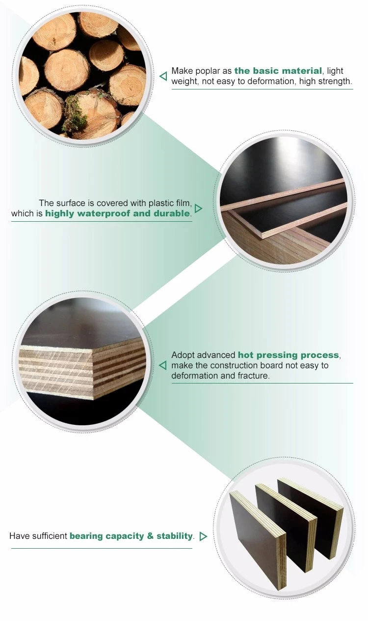 plywood 8 plywood 8