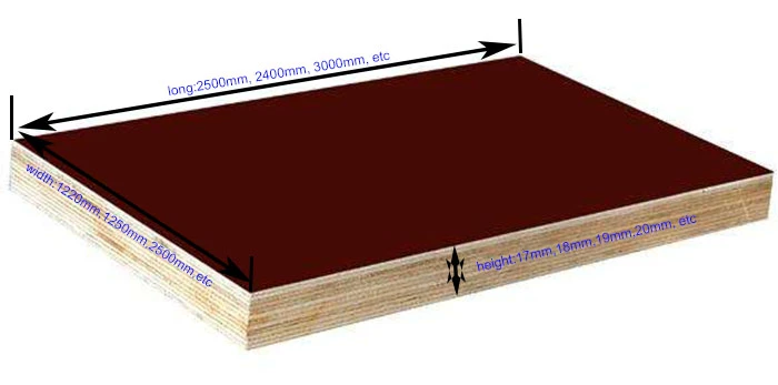 plywood 19