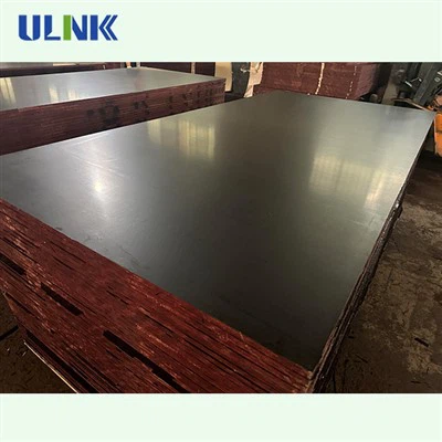15MM Poplar Eucalyptus Combi Core Brown Film Coate Plywood