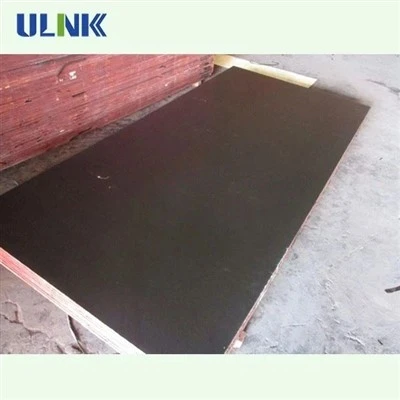 Poplar Film Faced Plywood